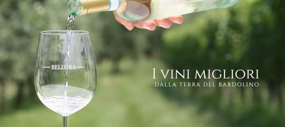 Molesini Wine Dine & Shine